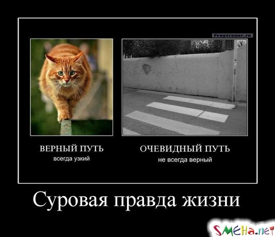Суровая правда жизни