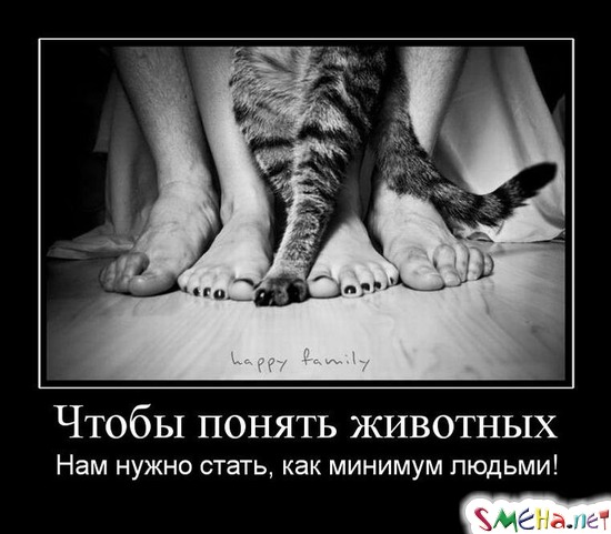 Чтобы понять животных - Нам нужно стать, как минимум людьми!
