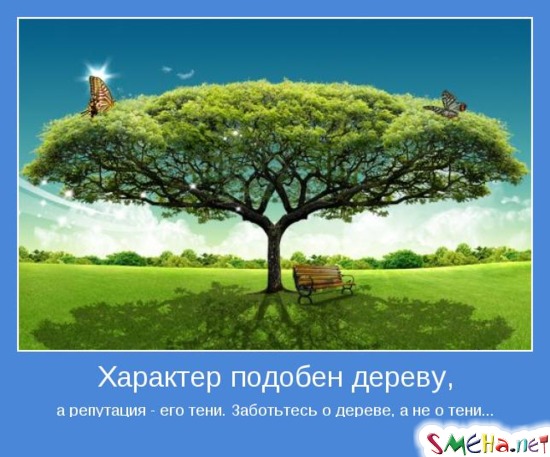 Характер подобен дереву, а репутация - его тени. Заботьтесь о дереве, а не о тени...