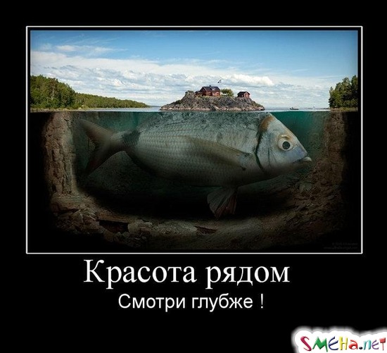 Красота рядом - Смотри глубже !