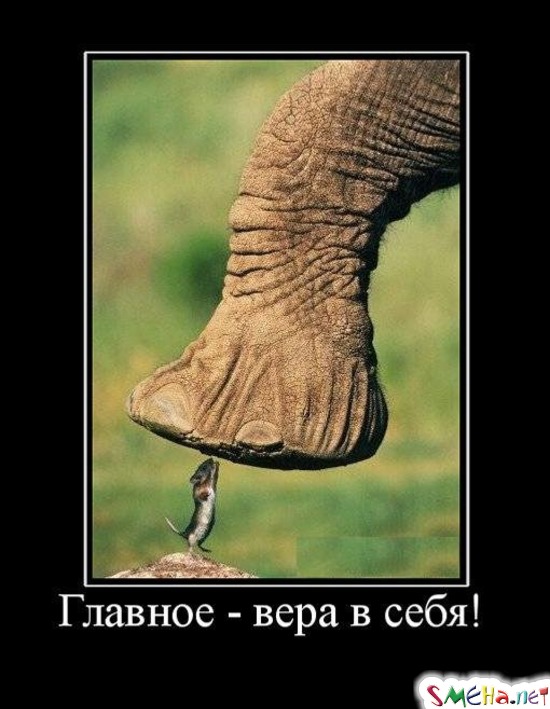 Главное - вера в себя!