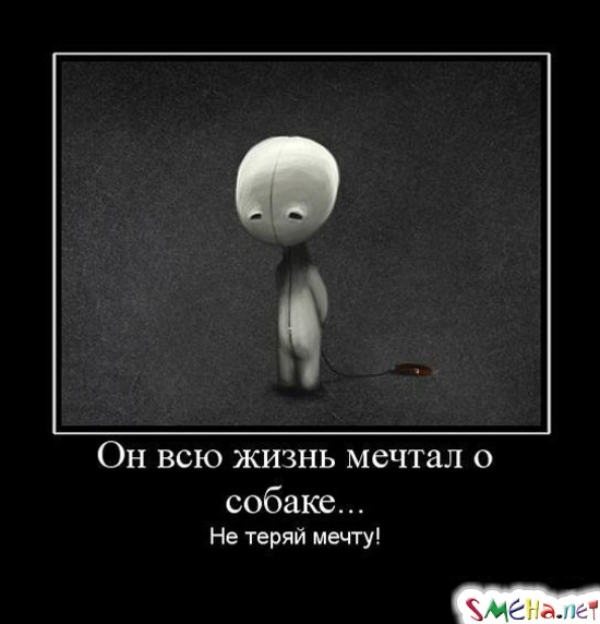 Он всю жизнь мечтал о собаке... - Не теряй мечту!