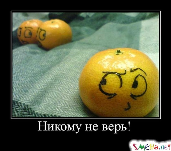 Никому не верь!