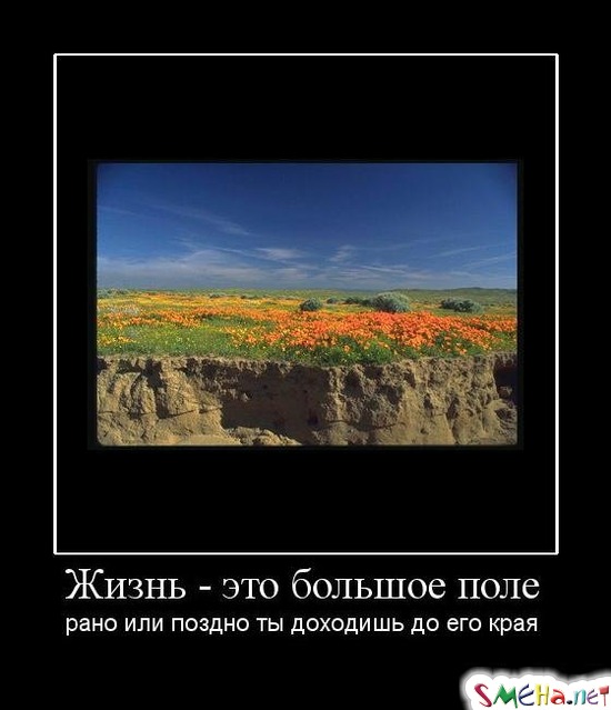 Жизнь - это большое поле - рано или поздно ты доходишь до его края
