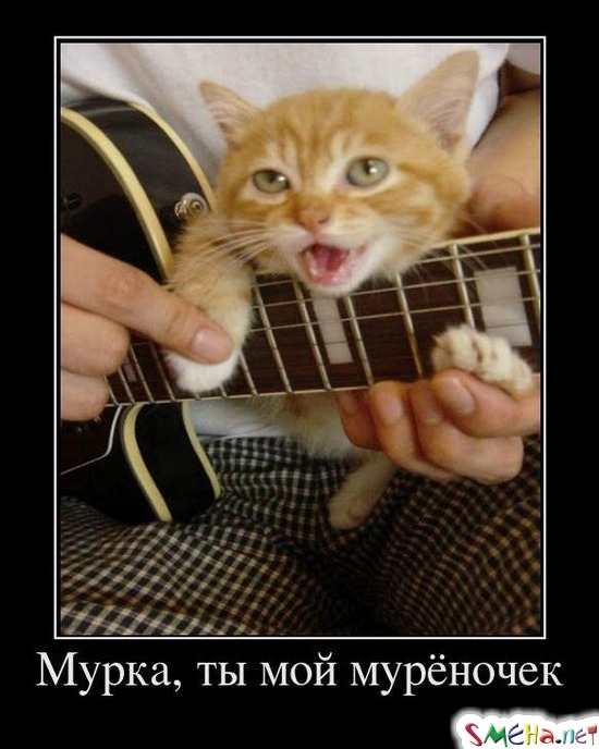 Мурка, ты мой мурёночек