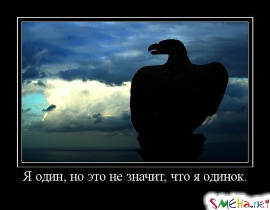 Я один, но это не значит, что я одинок.