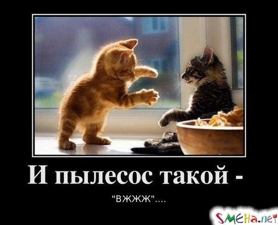 И пылесос такой - "вжжж"...