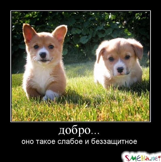 добро... - оно такое слабое и беззащитное