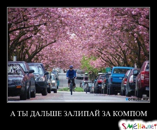 А ТЫ ДАЛЬШЕ ЗАЛИПАЙ ЗА КОМПОМ