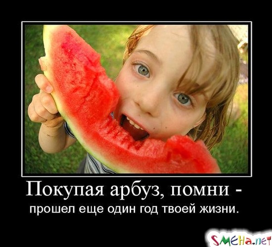 Покупая арбуз, помни - прошел еще один год твоей жизни.