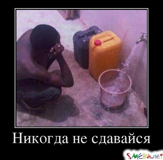 Никогда не сдавайся