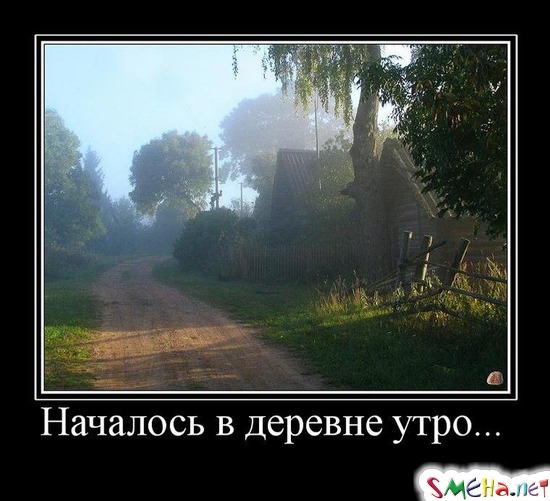 Началось в деревне утро...