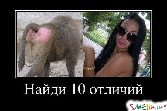 Найди 10 отличий