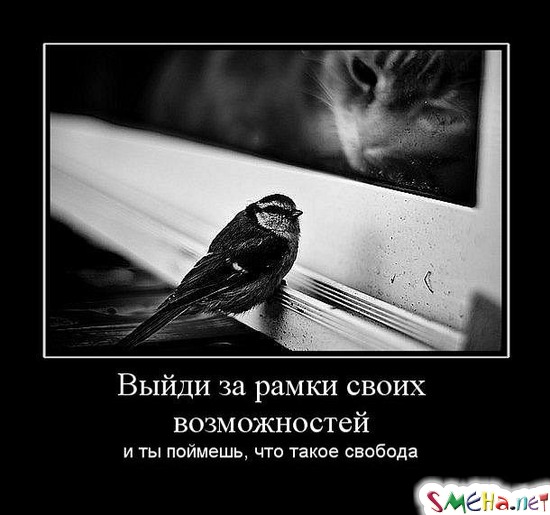 Выйди за рамки своих возможностей - и ты поймешь, что такое свобода