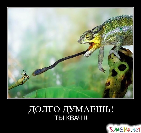 ДОЛГО ДУМАЕШЬ! - ТЫ КВАЧ!!!