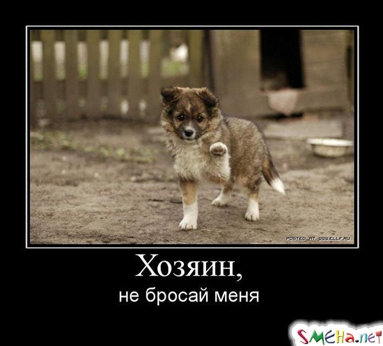 Хозяин, - не бойся меня