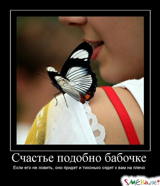 Счастье подобно бабочке - Если его не ловить, оно придет и тихонько сядет к вам на плечо