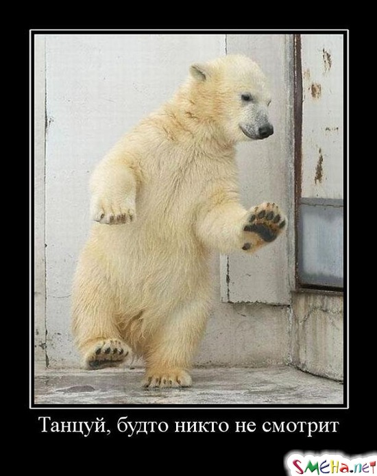 Танцуй, будто никто не смотрит