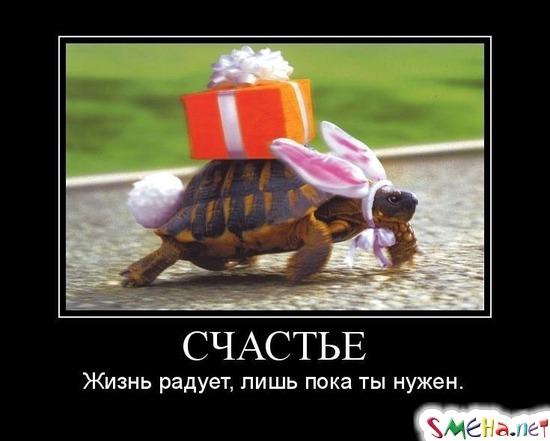 СЧАСТЬЕ - жизнь радует, лишь пока ты нужен.