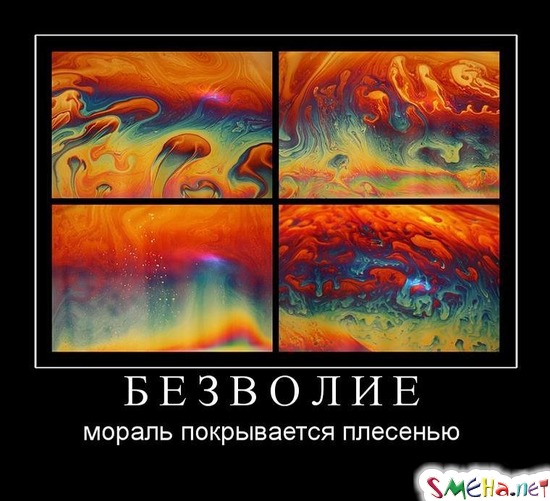 БЕЗВОЛИЕ - мораль покрывается плесенью