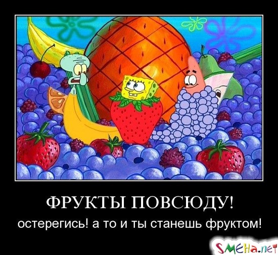 ФРУКТЫ ПОВСЮДУ! - остерегись! а то и ты станешь фруктом!