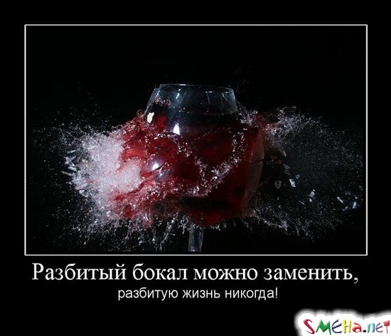 Разбитый бокал можно заменить,  разбитую жизнь никогда!