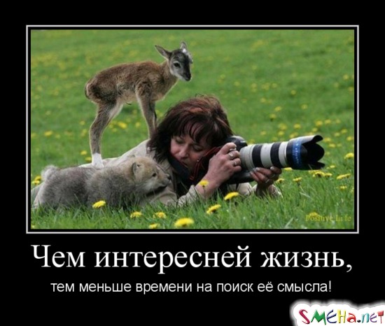 Чем интересней жизнь, тем меньше времени на поиск её смысла!