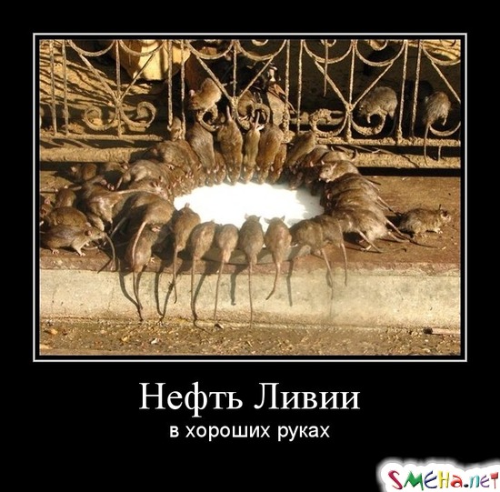 НЕФТЬ ЛИВИИ В ХОРОШИХ РУКАХ