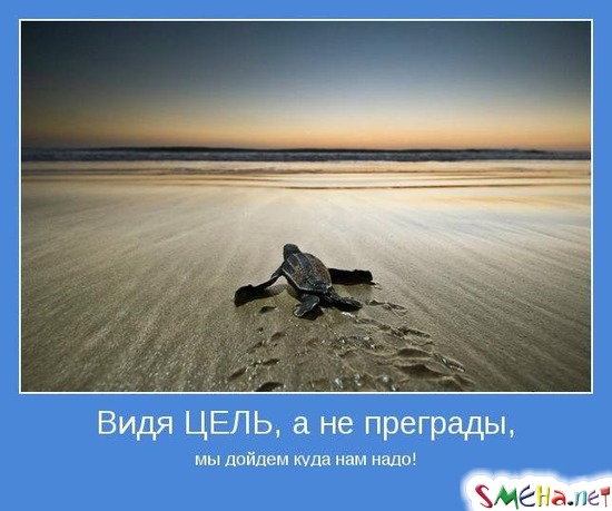 Видя ЦЕЛЬ, а не преграды, мы дойдем куда нам надо!