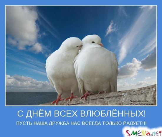 С ДНЁМ ВСЕХ ВЛЮБЛЁННЫХ!!! - ПУСТЬ НАША ДРУЖБА НАС ВСЕГДА ТОЛЬКО РАДУЕТ!!!