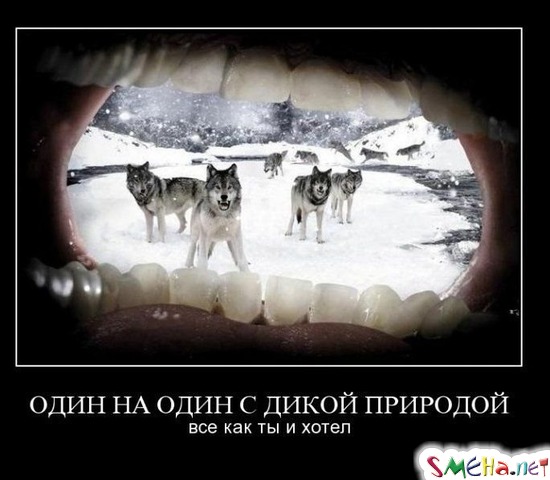 ОДИН НА ОДИН С ДИКОЙ ПРИРОДОЙ - все как ты хотел