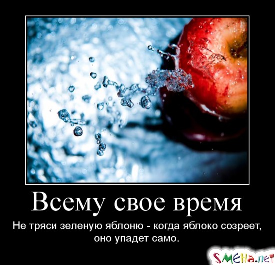Всему свое время - Не тряси зеленую яблоню - когда яблоко созреет, оно упадет само