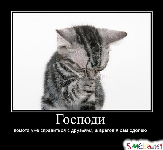 Господи - помоги мне справиться с друзьями, а врагов я сам одолею