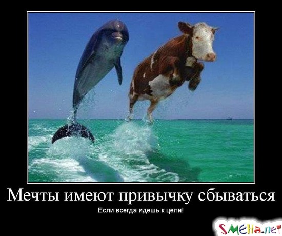 Мечты имеют привычку сбываться - Если всегда идешь к цели!