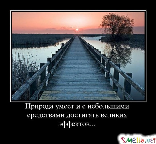 Природа умеет и с небольшими средствами достигать великих эффектов...
