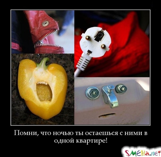 Помни, что ночью ты остаешься с ними в одной квартире!
