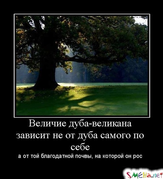 Величие дуба-великана зависит не от дуба самого по себе - а от той благодатной почвы, на которой он рос