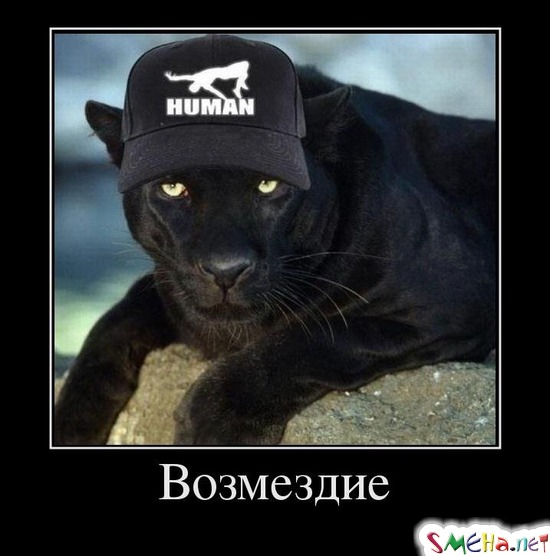 Возмездие