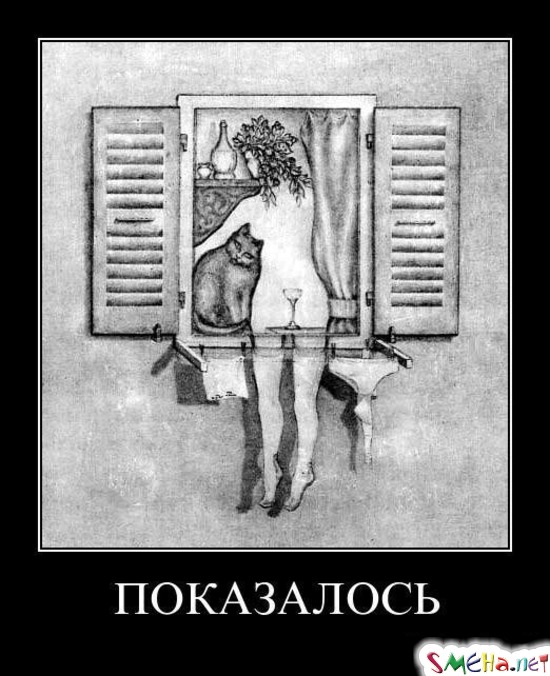 ПОКАЗАЛОСЬ