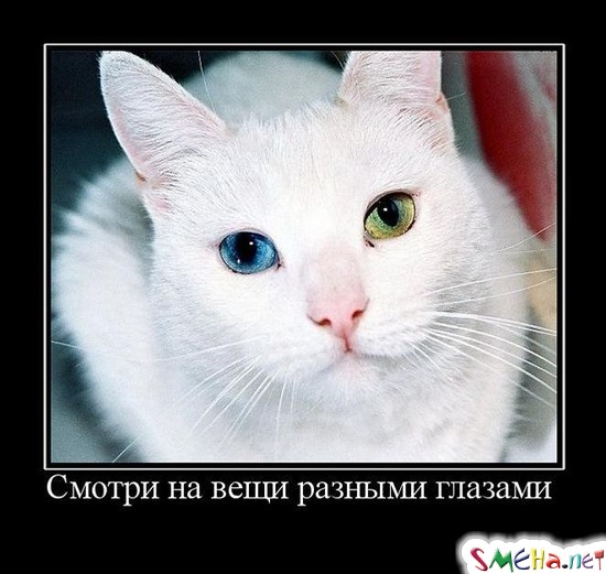 Смотри на вещи разными глазами