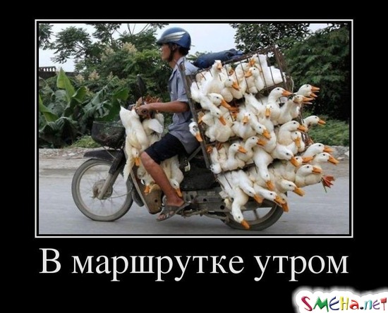 В маршрутке утром