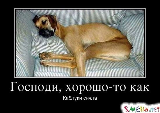 Господи, хорошо-то как - Каблуки сняла