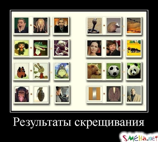 Результаты скрещивания