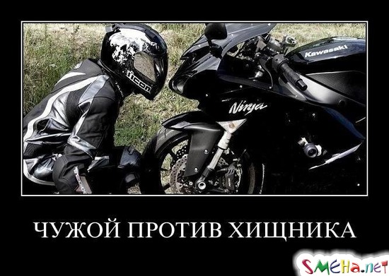 ЧУЖОЙ ПРОТИВ ХИЩНИКА