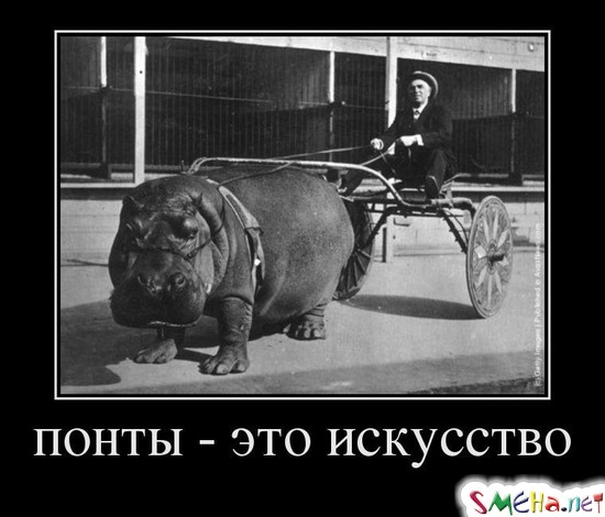 Понты - это искусство