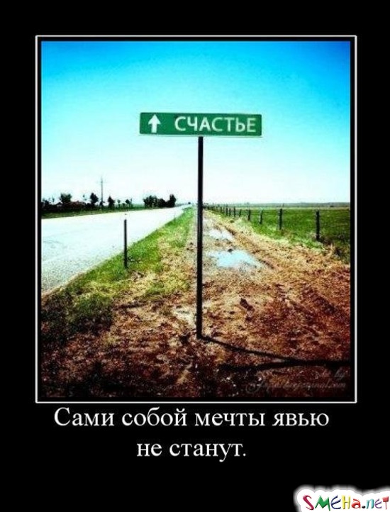 Сами собой мечты явью не станут.
