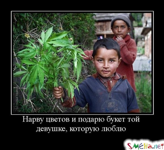 Нарву цветов и подарю букет той девушке, которую люблю