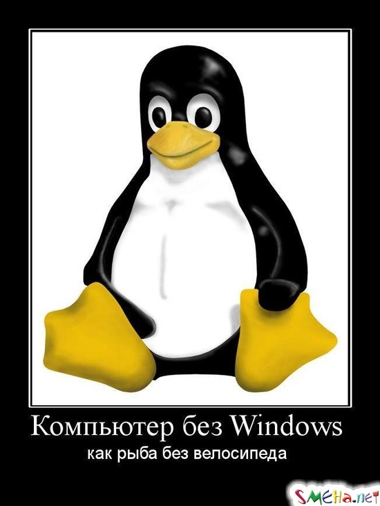 Компьютер без Windows - как рыба без велосипеда