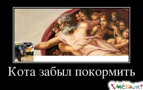 Кота забыл покормить