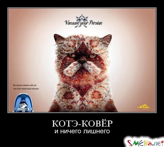 КОТЭ-КОВЁР - и ничего лишнего